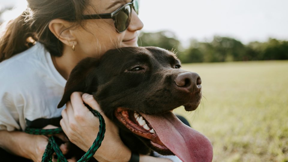 woman hugging a dog